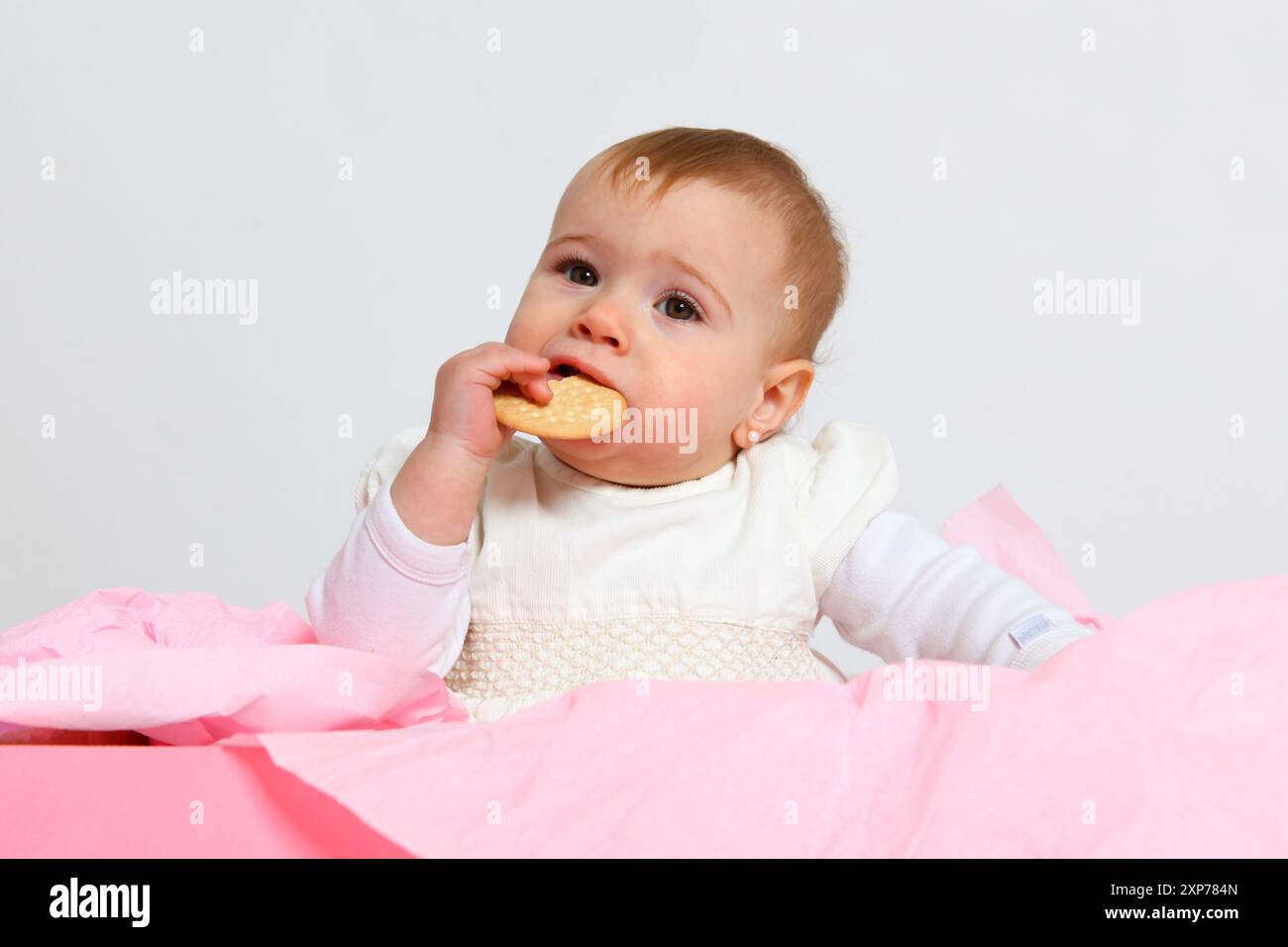 portrait d'une petite fille mignonne mangeant un cookie sur fond blanc Banque D'Images