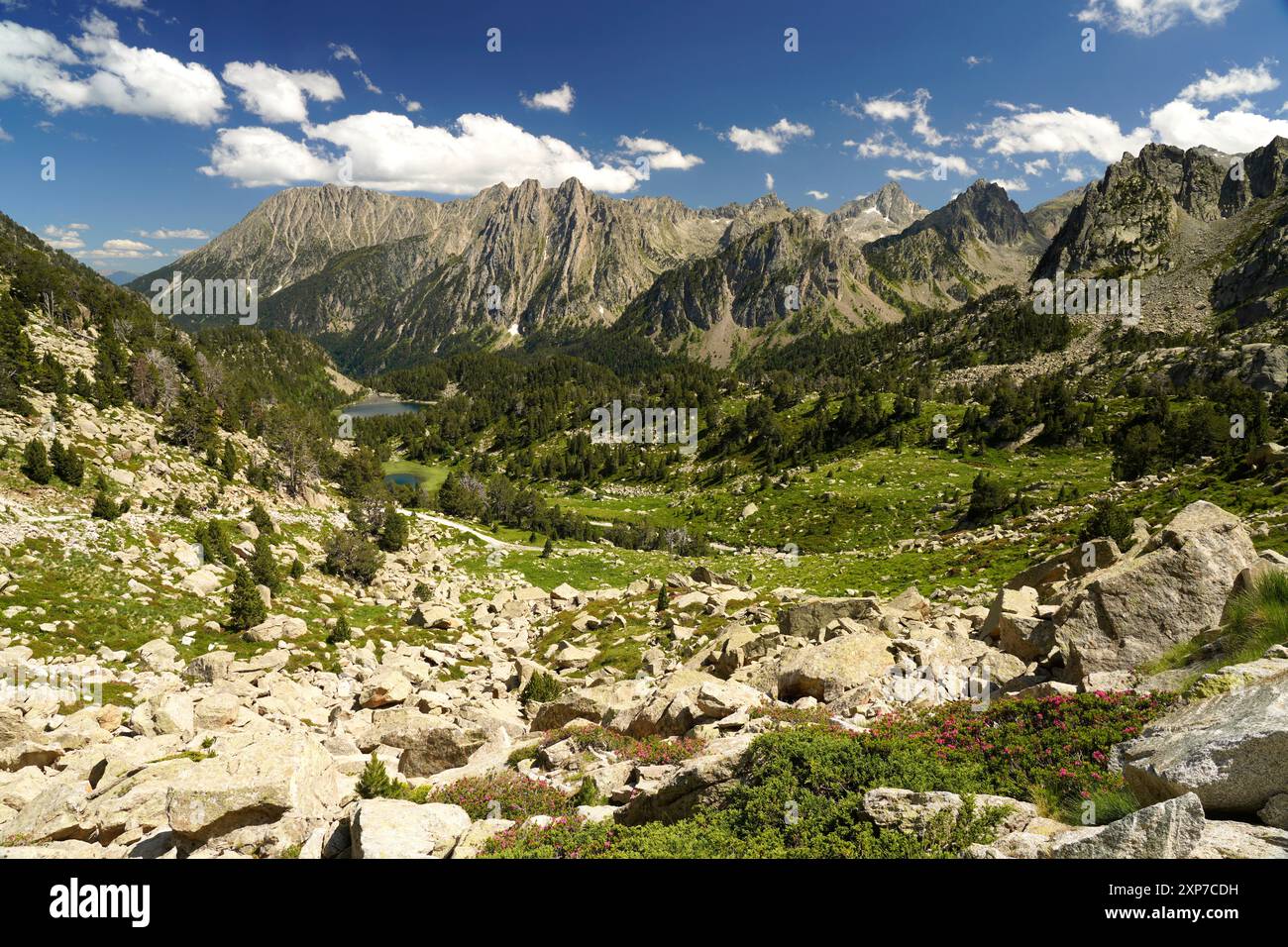 Gebirgslandschaft im Nationalpark Aigüestortes i Estany de Sant Maurici, Katalonien, Spanien, Europa | paysage de montagne de Aigüestortes i Estany de Banque D'Images