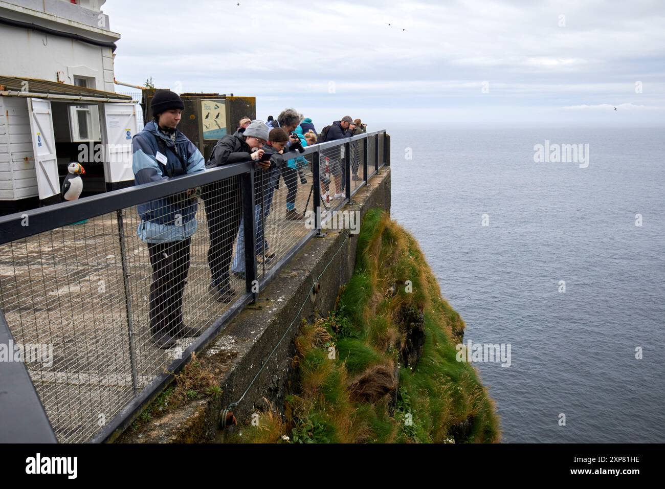 touristes regardant à travers des jumelles au centre rspb phare ouest de rathlin île de rathlin, comté d'antrim, irlande du nord, royaume-uni Banque D'Images