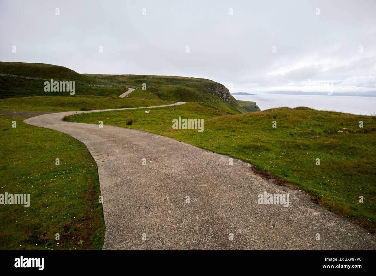 route en béton à voie unique sinueuse dans la réserve naturelle de kebble et kinramer rathlin island, comté d'antrim, irlande du nord, royaume-uni Banque D'Images