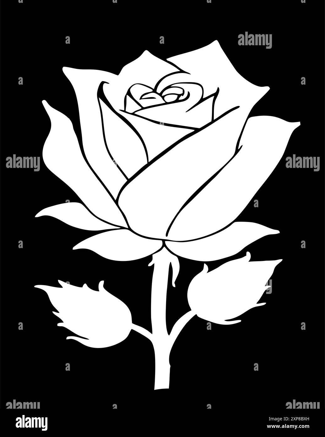 dessin linéaire graphique blanc de fleur de rose sur fond noir, design Banque D'Images