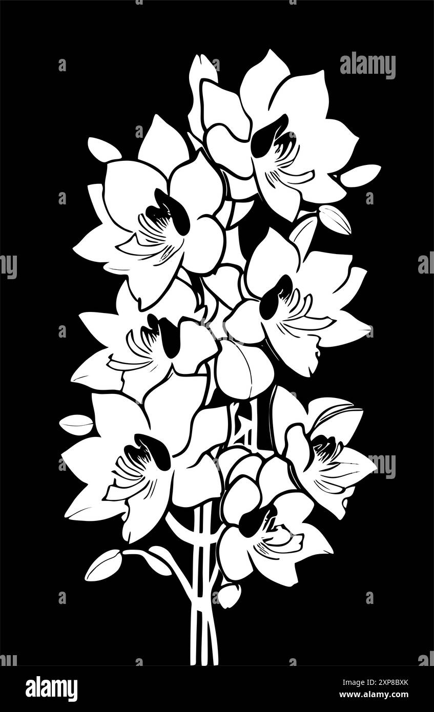 dessin linéaire graphique blanc de fleur d'orchidée sur fond noir, conception Banque D'Images