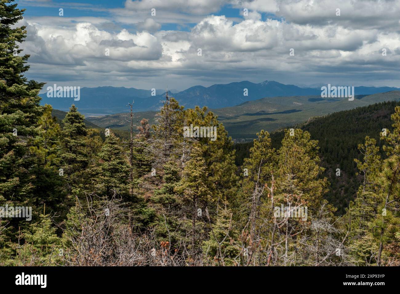 La chaîne de Sangre de Cristo, chaîne la plus méridionale des montagnes Rocheuses, vue depuis le point de vue panoramique Apache Canyon de la route 518 de l'État du Nouveau-Mexique Banque D'Images