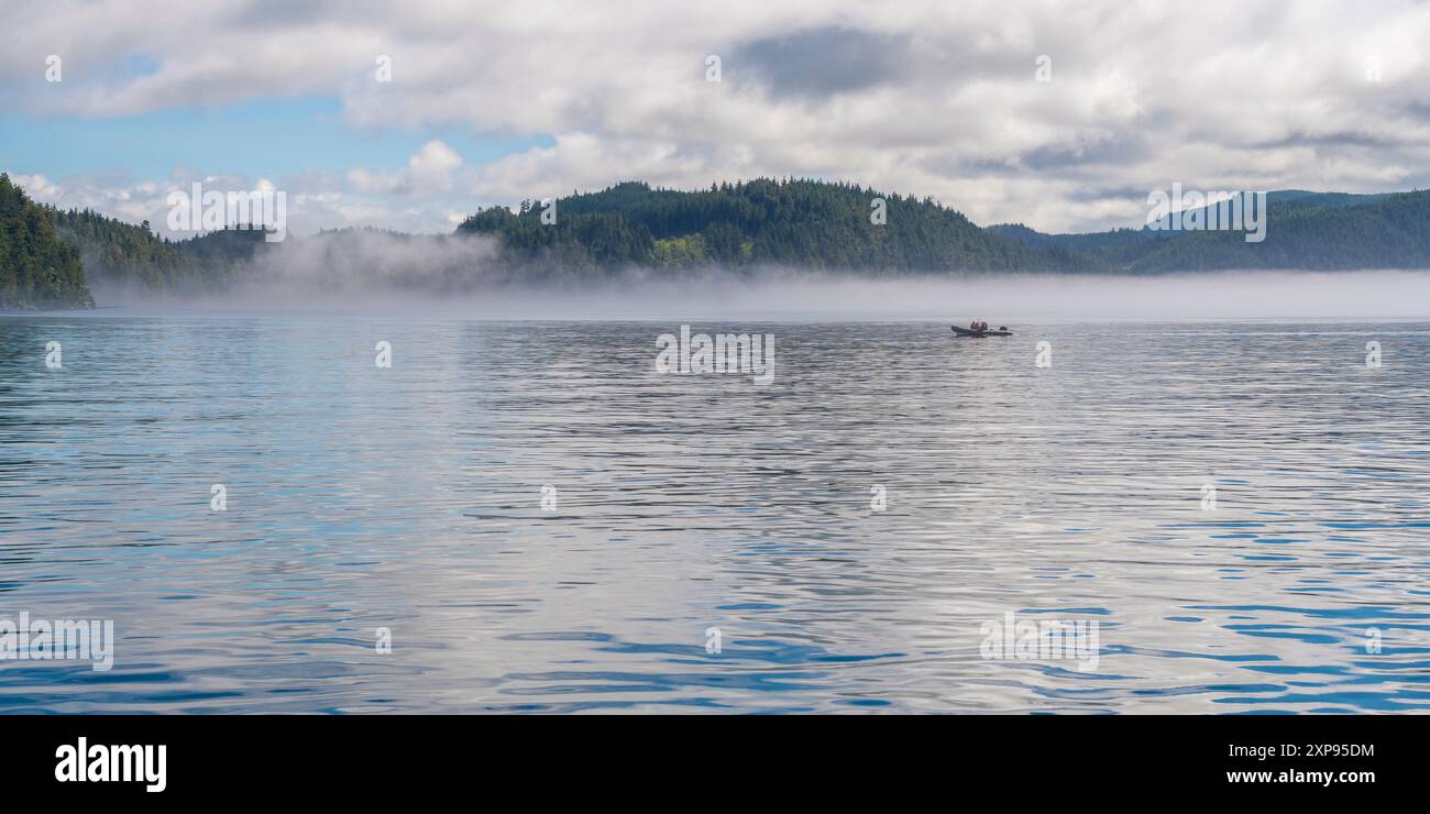 Bateau gonflable rigide en excursion d'observation des baleines, Tofino, île de Vancouver, Colombie-Britannique, Canada. Banque D'Images