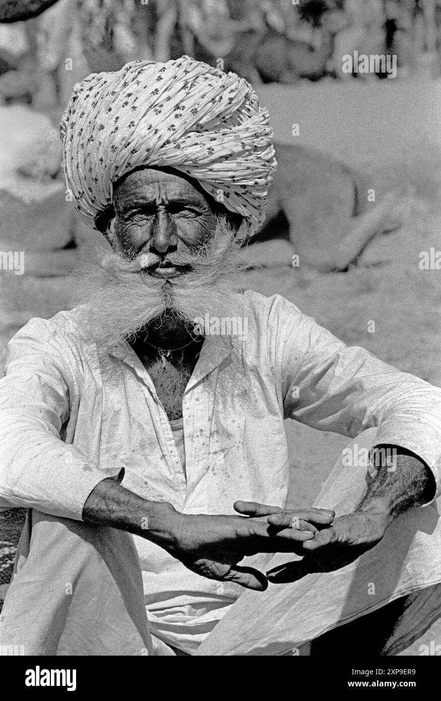 Les chameaux sont achetés et vendus à la Foire annuelle des chameaux de Pushkar pendant la pleine lune de novembre chaque année à Pushkar, Inde - 1989 Banque D'Images