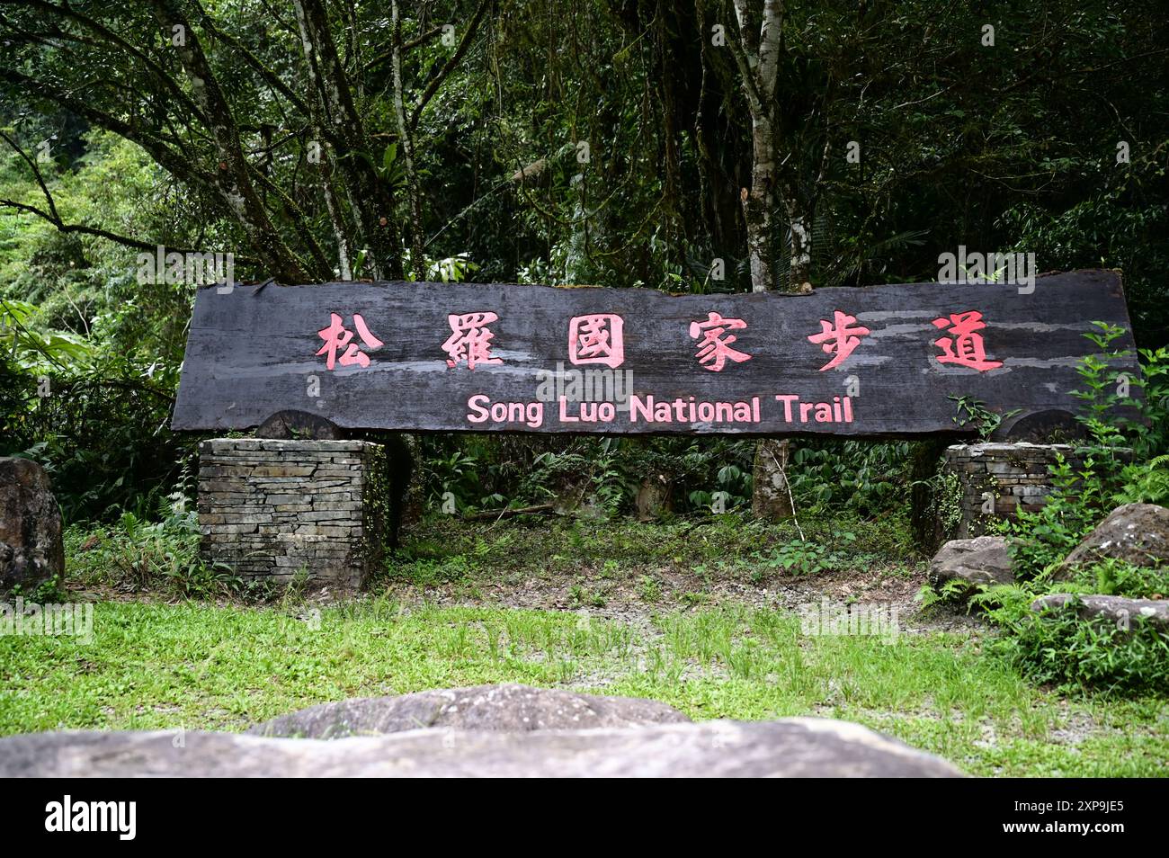 TWN-08.03.24 : le sentier national de Songluo à Yilan, est un sentier forestier réputé pour sa riche écologie et ses paysages naturels époustouflants. Banque D'Images