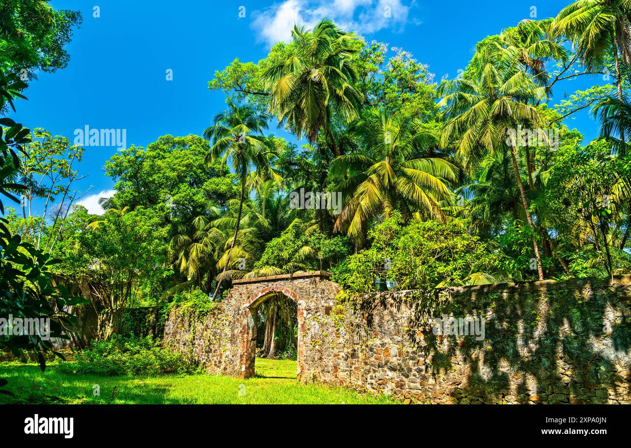Anciennes ruines de la colonie pénitentiaire notoire de l'île Saint Joseph, îles du Salut, Guyane française, Amérique du Sud Banque D'Images
