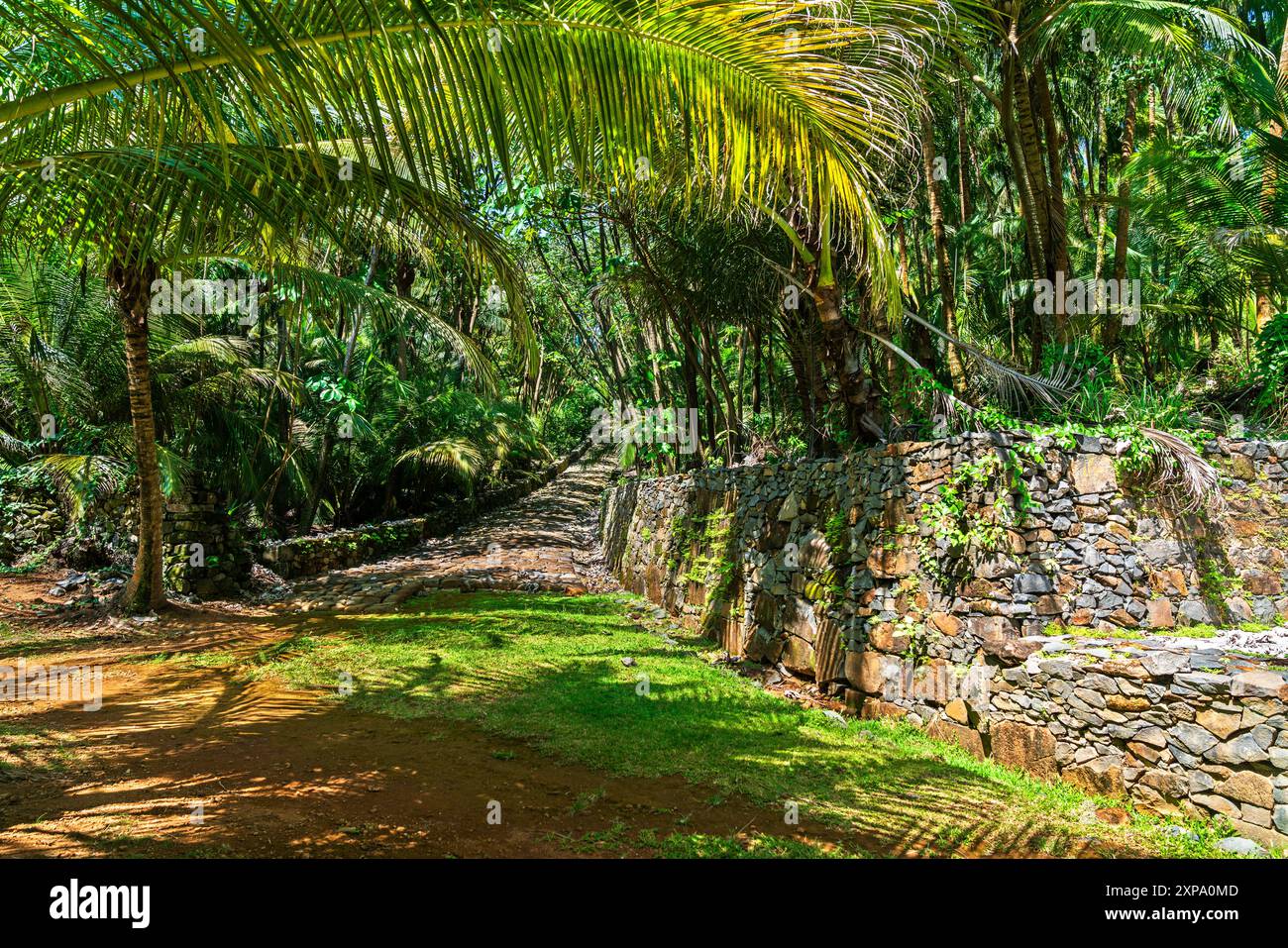 Vestiges d'une colonie pénitentiaire notoire dans l'île Saint-Joseph, îles du Salut, Guyane française, Amérique du Sud Banque D'Images