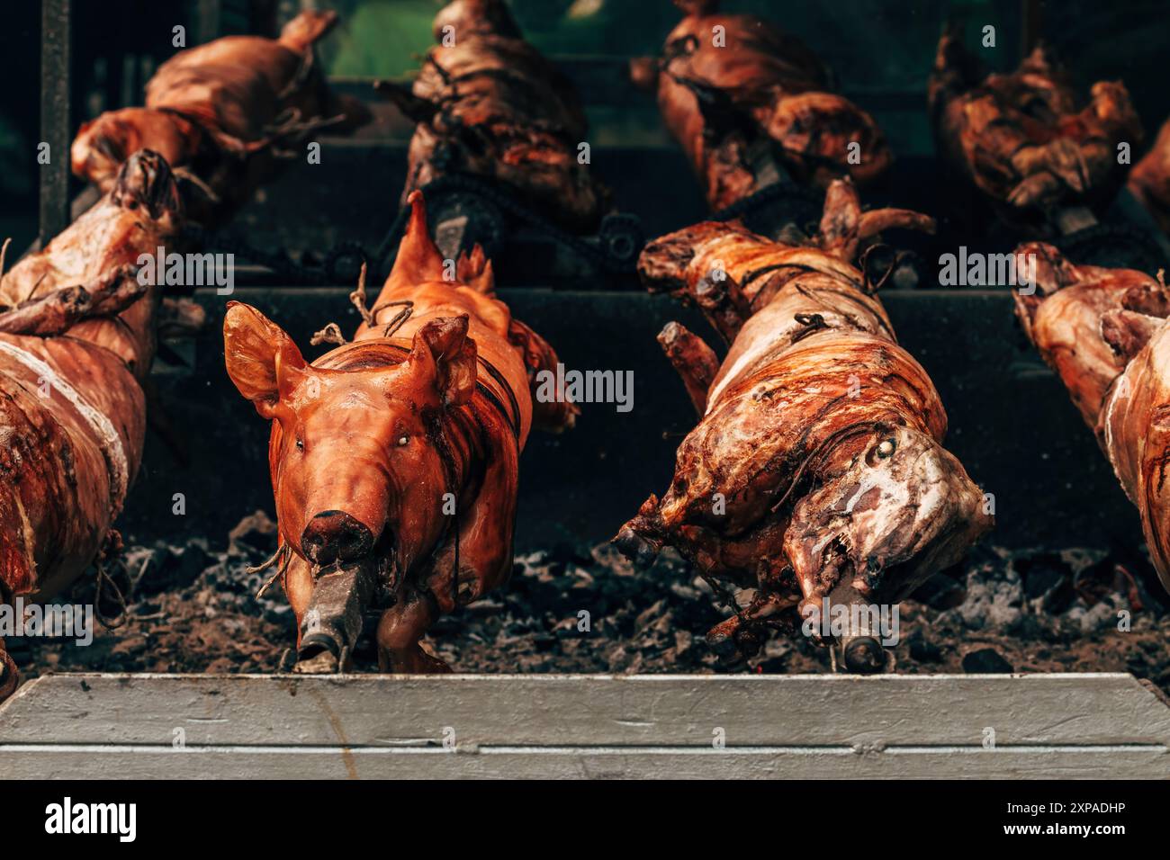 Porc entier et broche d'agneau rôti sur festival traditionnel en Serbie, focus sélectif Banque D'Images