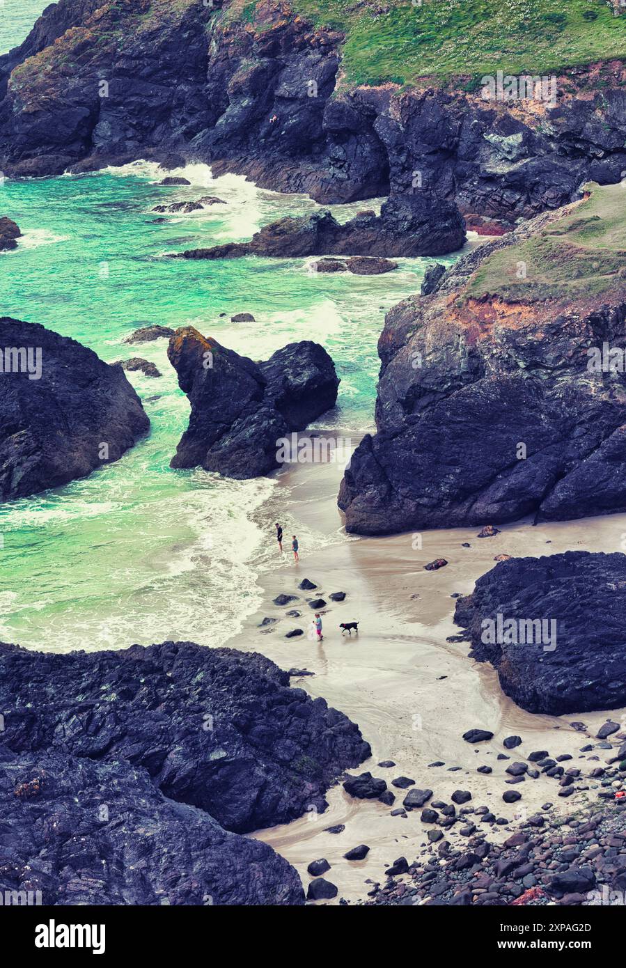 Sauvage rocheuse belle côte de Cornouailles, Kynance Cove, péninsule de Lizard, Cornouailles, Angleterre Banque D'Images