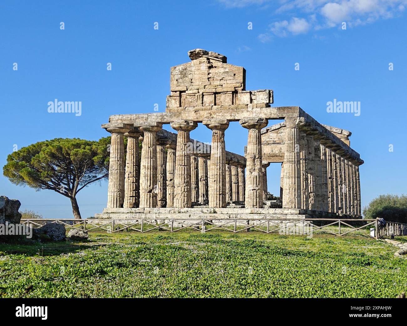 Les ruines de Paestum sont célèbres pour leurs trois anciens temples grecs dans l'ordre dorique datant d'environ 550 à 450 av. J.-C. Banque D'Images