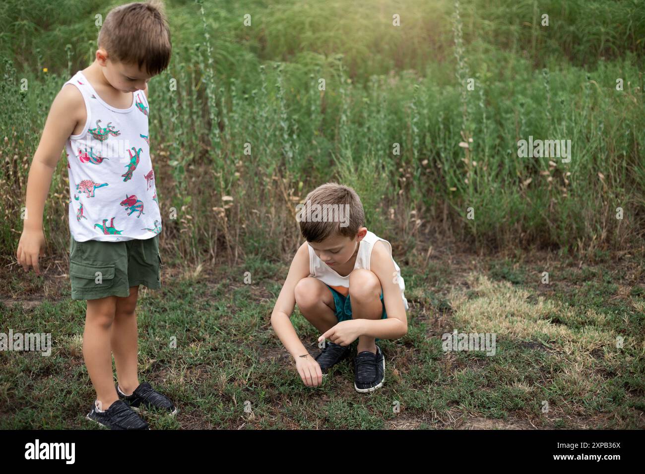 deux garçons explorant et observant la nature dans un champ herbeux Banque D'Images