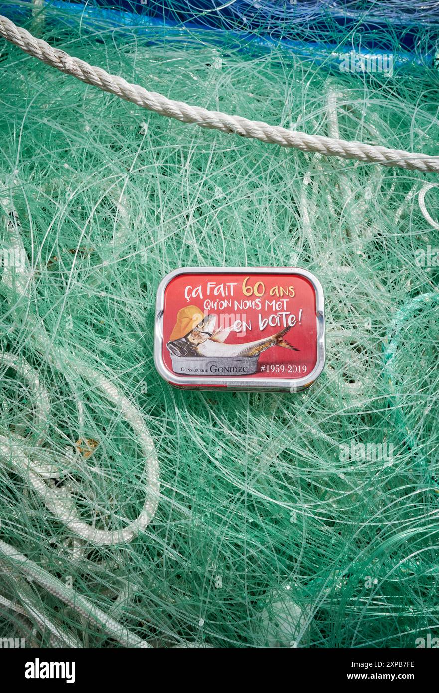 Boîte de sardine décorative édition spéciale, France produit par les Mouettes d'Arvor la dernière conserverie à poisson debout à Concarneau, France Banque D'Images