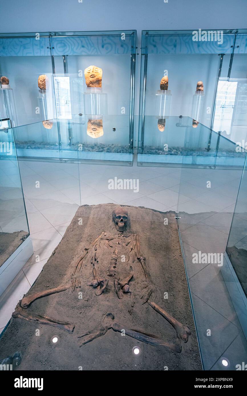 Vir sapiens Banque de photographies et d’images à haute résolution - Alamy