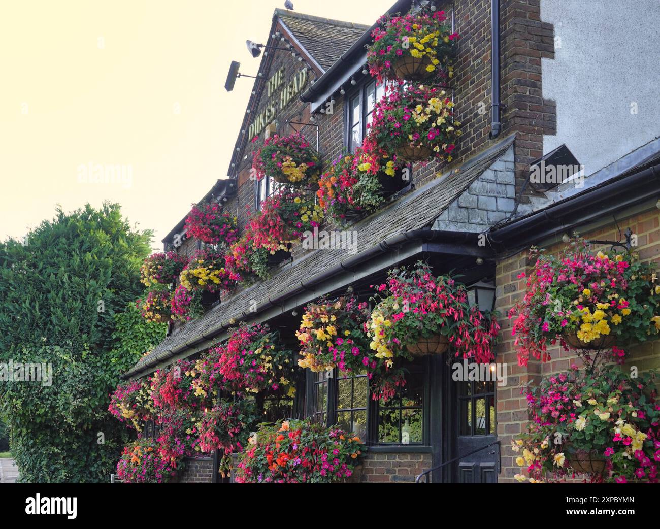 Tadworth, Surrey, Royaume-Uni 4 août 2024 paniers suspendus d'été anglais traditionnels ornent le pub Dukes Head sur la Dorking Road, Tadworth Surrey Royaume-Uni Banque D'Images Tadworth, Surrey, Royaume-Uni 4 août 2024 paniers suspendus d'été anglais traditionnels ornent le pub Dukes Head sur la Dorking Road, Tadworth Surrey Royaume-Uni Banque D'Images