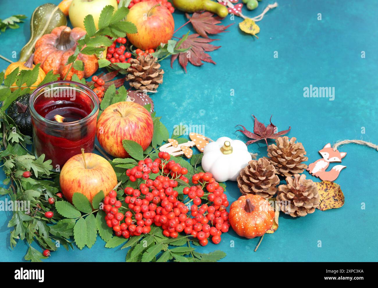 Composition de saison d'automne avec citrouilles, pommes et rowan sur fond bleu vif avec espace de copie. Décorations d'automne écologiques sur une table. Banque D'Images