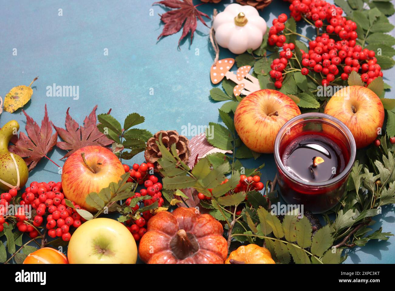 Composition de saison d'automne avec citrouilles, pommes et rowan sur fond bleu vif avec espace de copie. Décorations d'automne écologiques sur une table. Banque D'Images