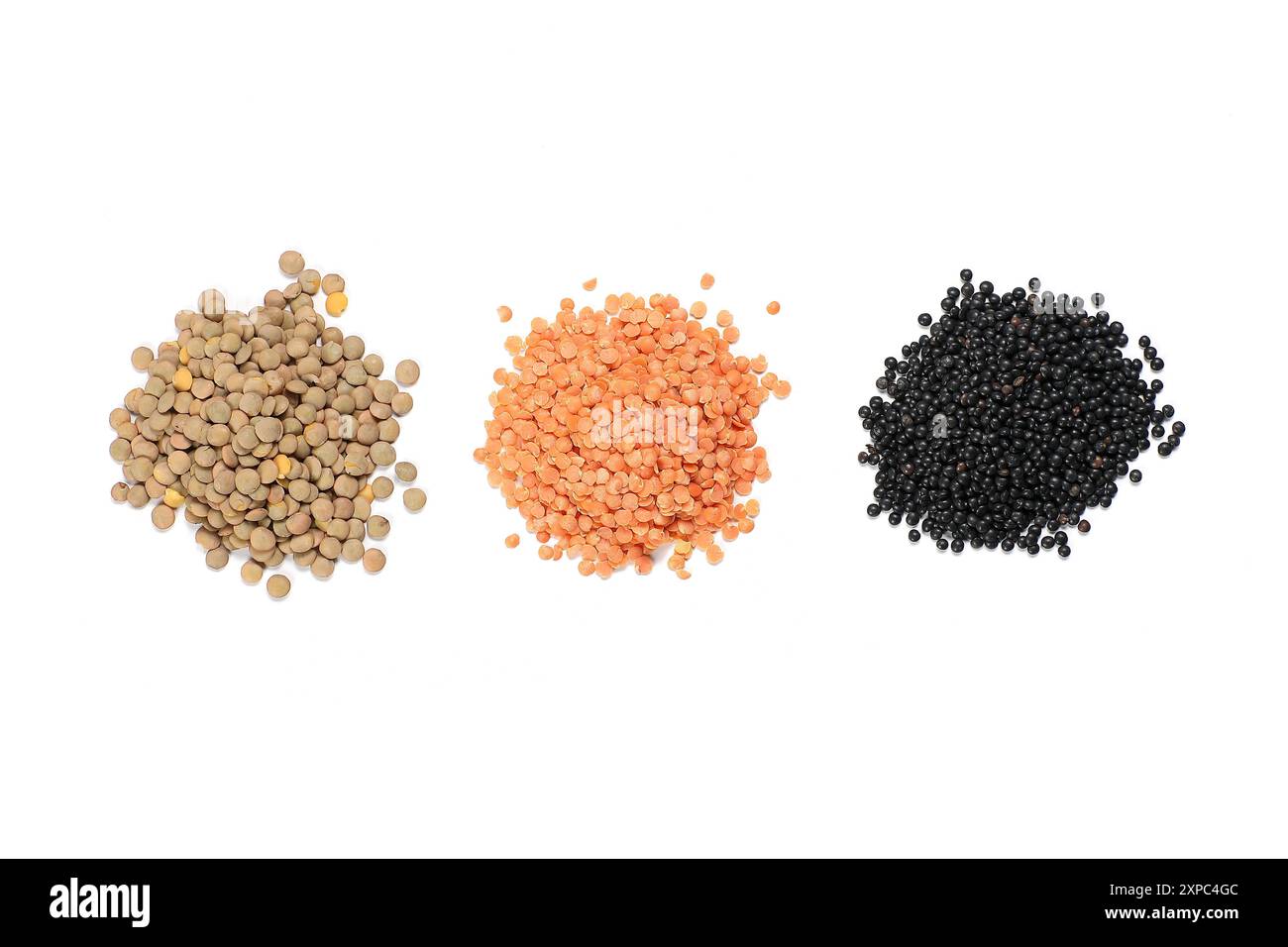 Lentilles communes, rouges et noires sur fond blanc Banque D'Images