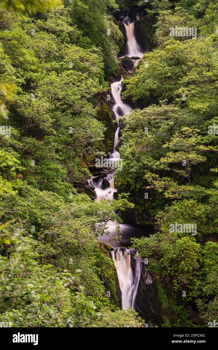 Pont du diable, pays de Galles occidental. La cascade de la promenade des trois ponts. Banque D'Images