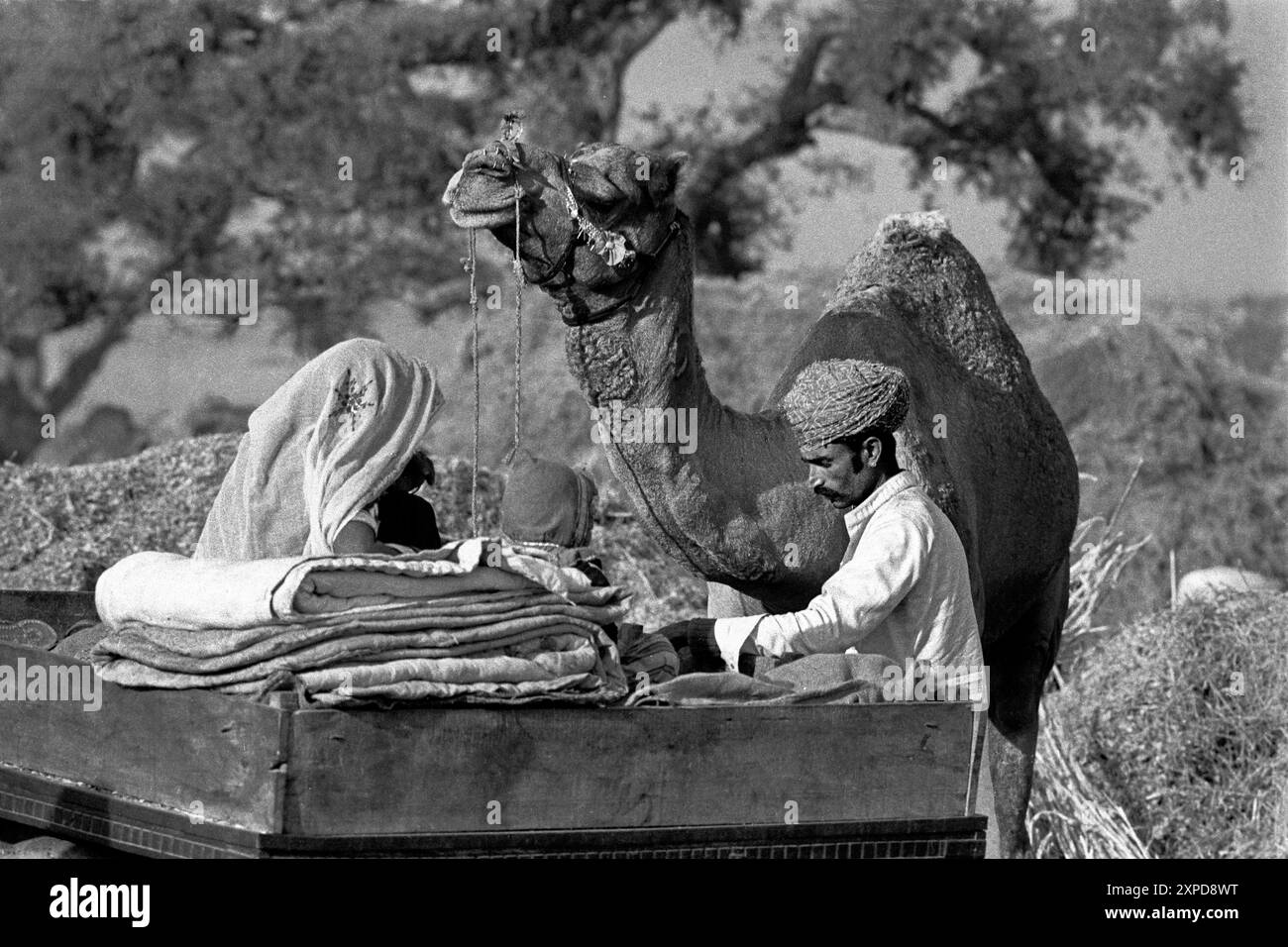 Une famille tribale Banjari avec leur chariot de chameau à la foire annuelle de chameau de Pushkar pendant la pleine lune de novembre chaque année à Pushkar, Inde - 1989 Banque D'Images