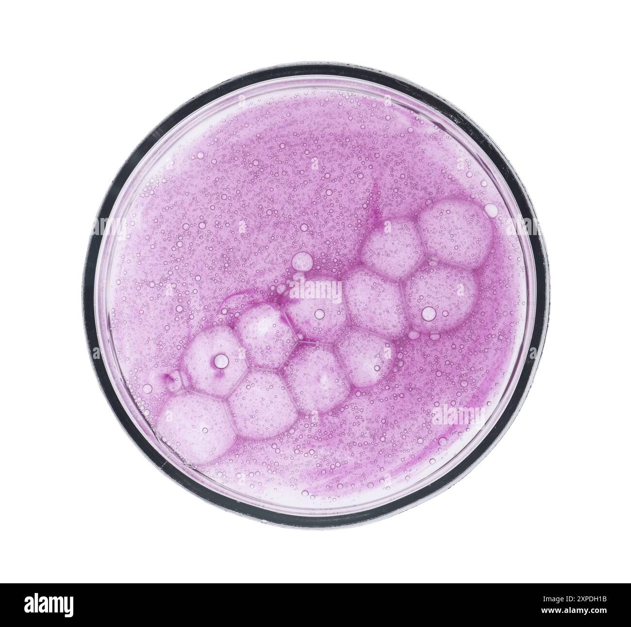 Boîte de Petri avec échantillon isolé sur blanc, vue de dessus Banque D'Images