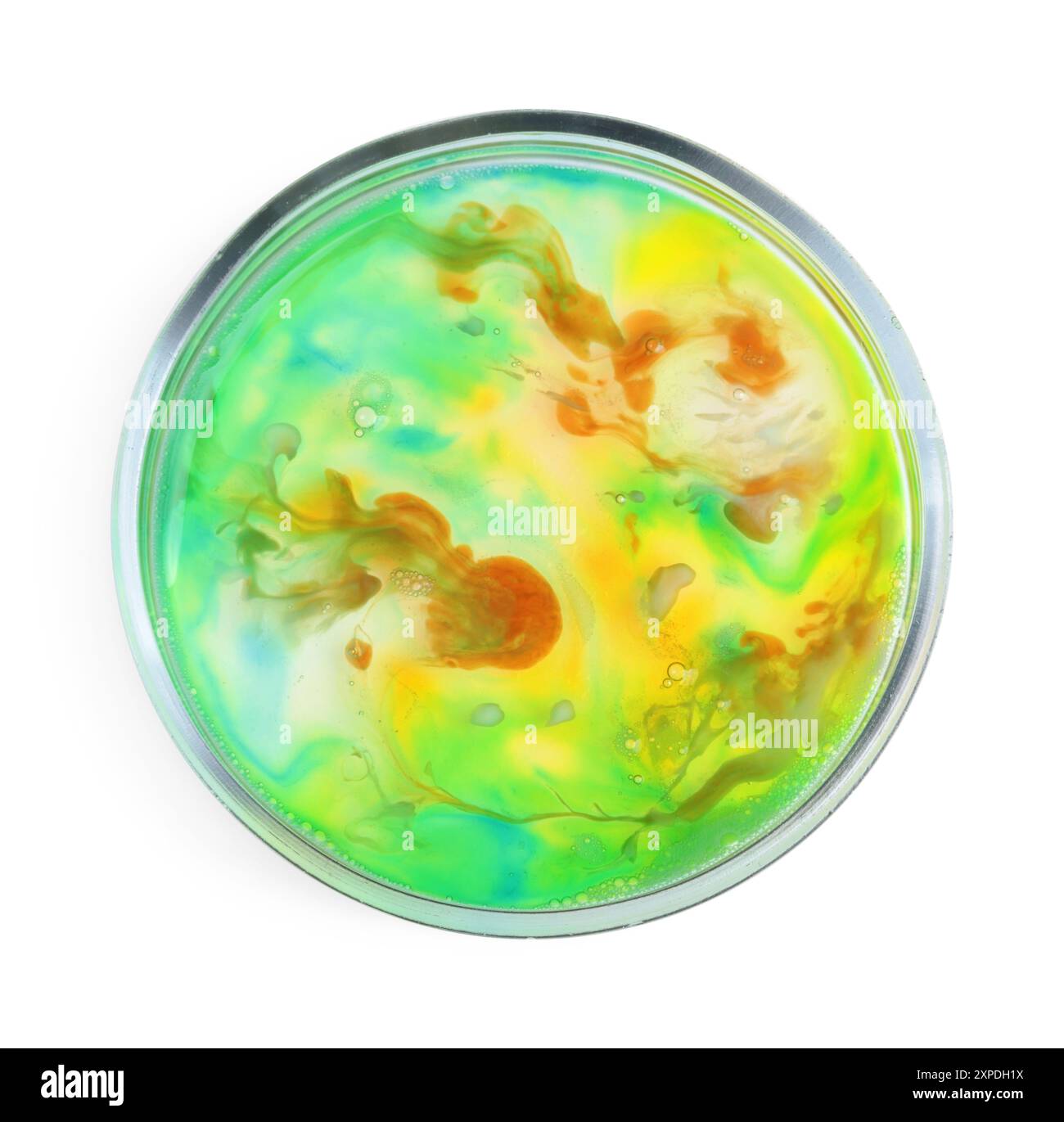 Boîte de Pétri avec bactéries isolées sur blanc, vue de dessus Banque D'Images
