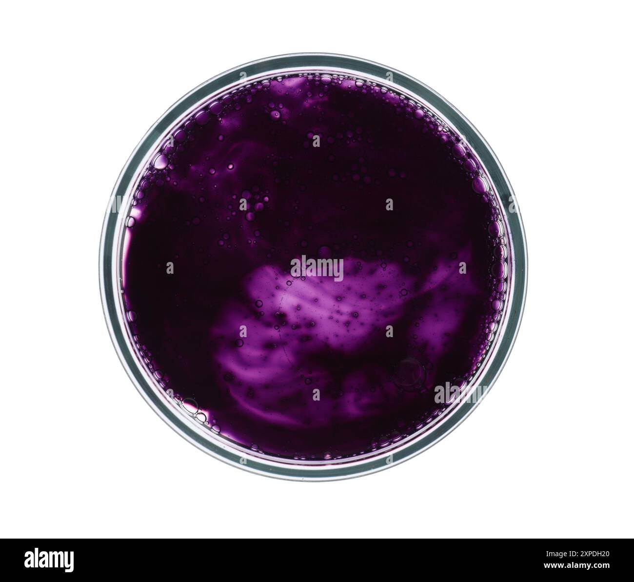 Boîte de Petri avec échantillon isolé sur blanc, vue de dessus Banque D'Images