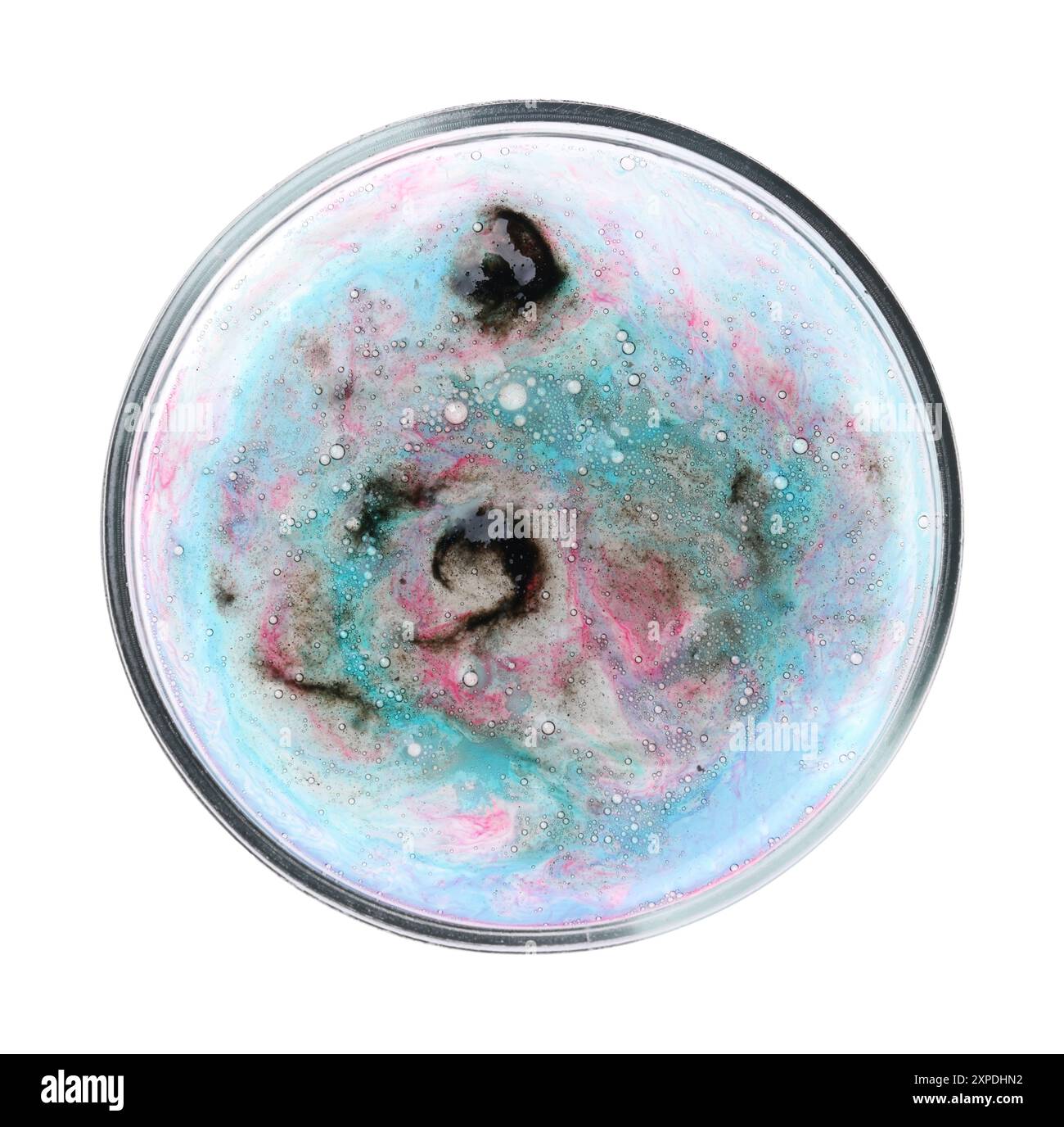 Boîte de Pétri avec bactéries isolées sur blanc, vue de dessus Banque D'Images