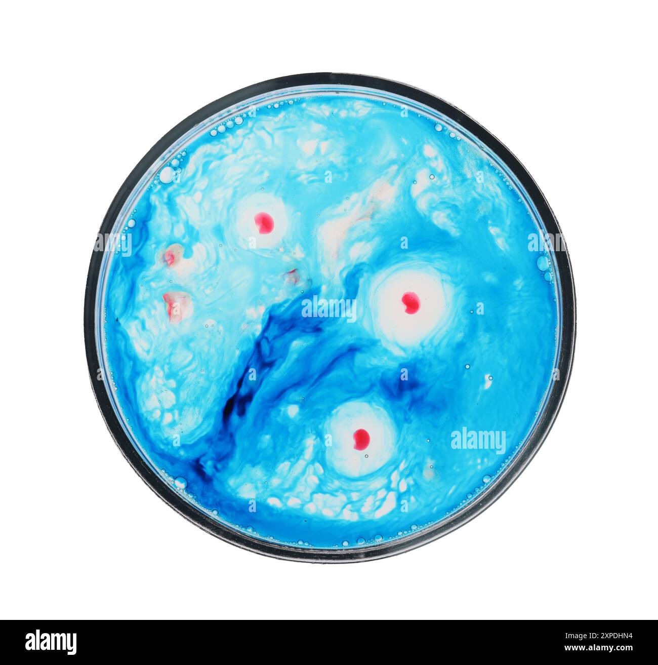 Boîte de Pétri avec bactéries isolées sur blanc, vue de dessus Banque D'Images