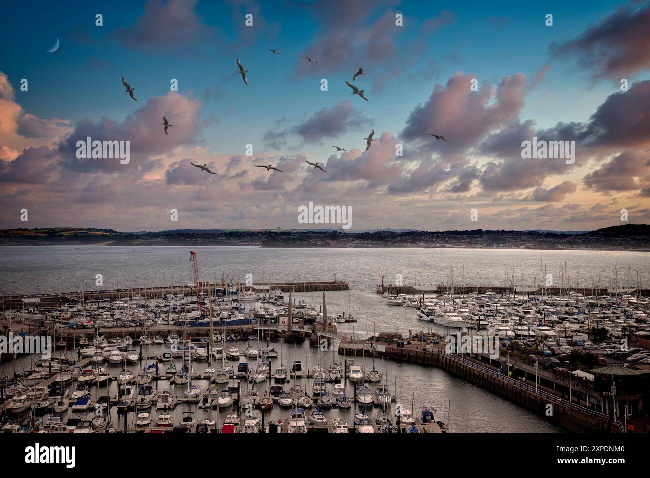 GB - DEVON : soirée sur le port de Torquay le long de la Riviera anglaise © Edmund Nagele FRPS Banque D'Images