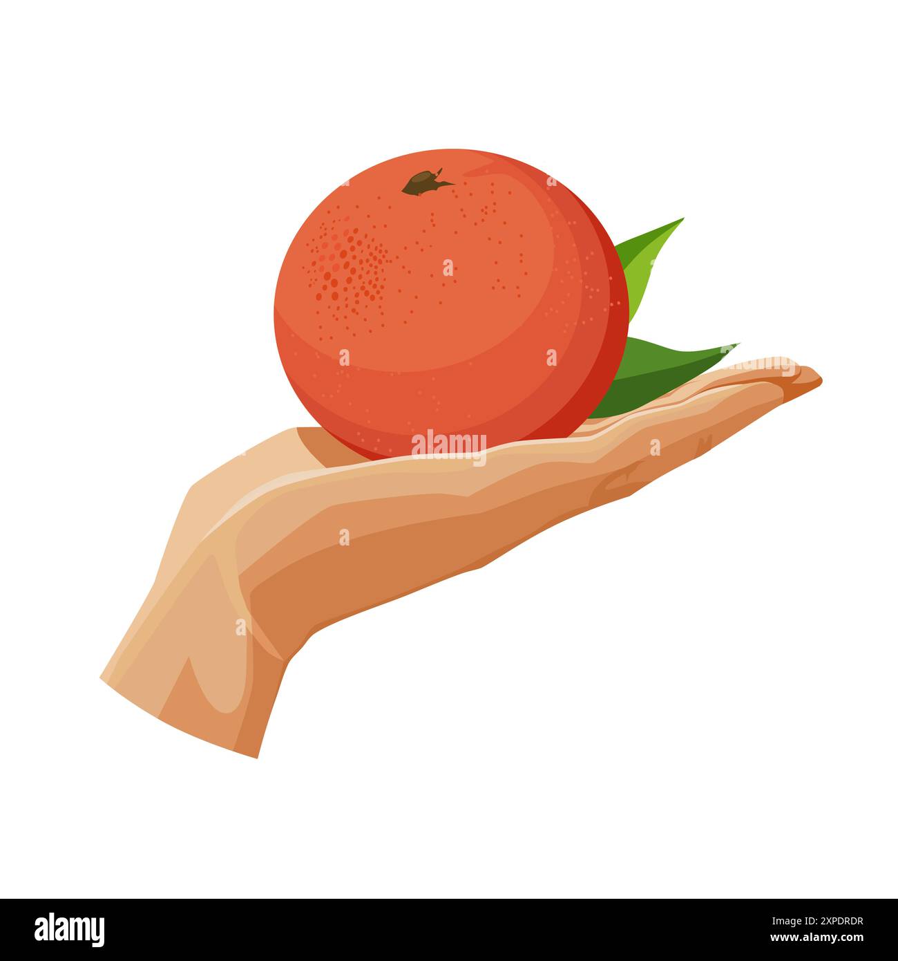 Pamplemousse rouge fraîchement et sain dans la paume de la main isolé sur fond blanc. Illustration vectorielle dans un style plat avec des fruits tropicaux. Clipar Illustration de Vecteur