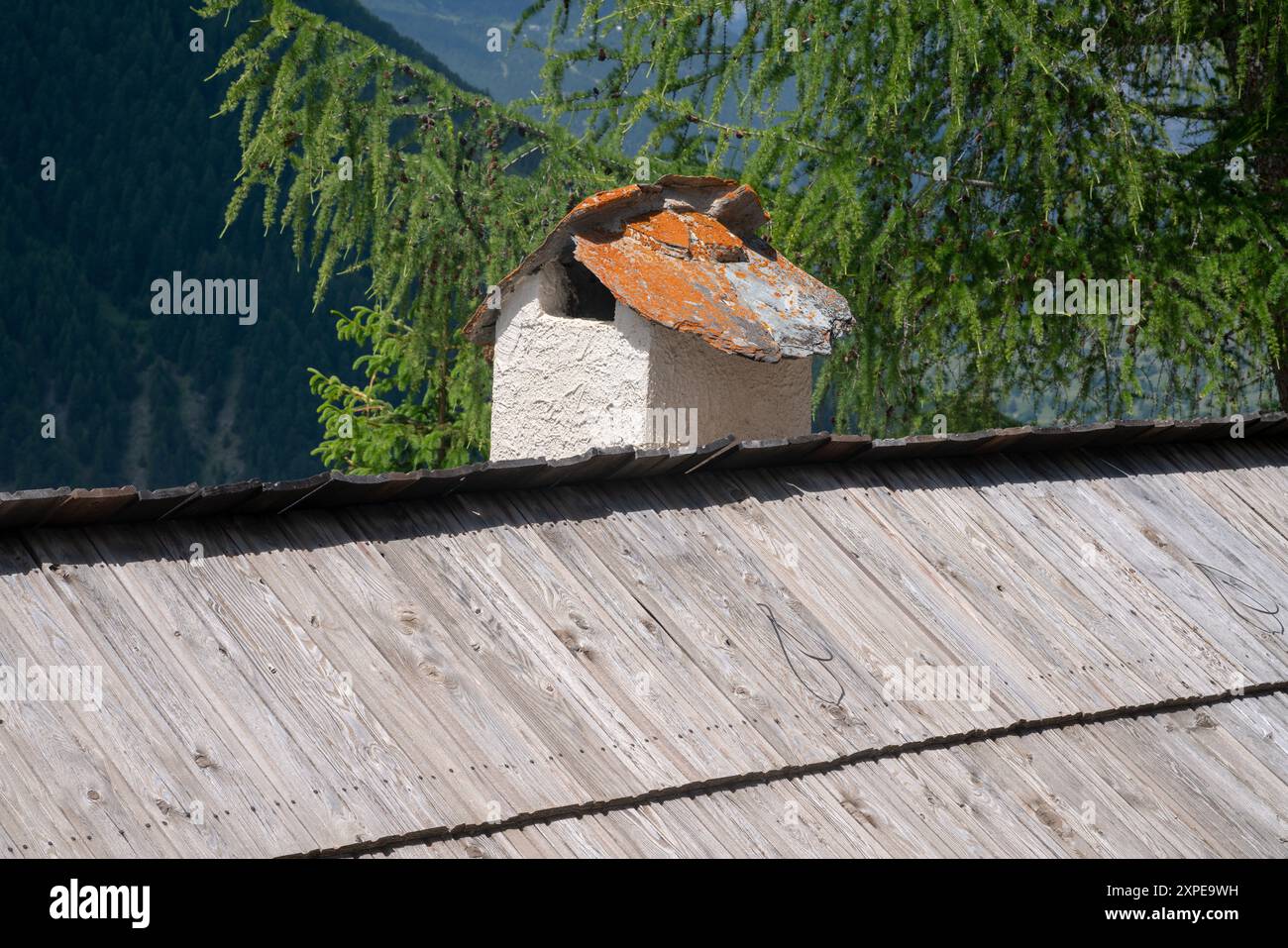 toit en tuiles de bois, une tradition typique de nombreux endroits de montagne en raison de l'abondance de matériaux naturels. clouer les rend plus solides tuiles pour la neige et Banque D'Images