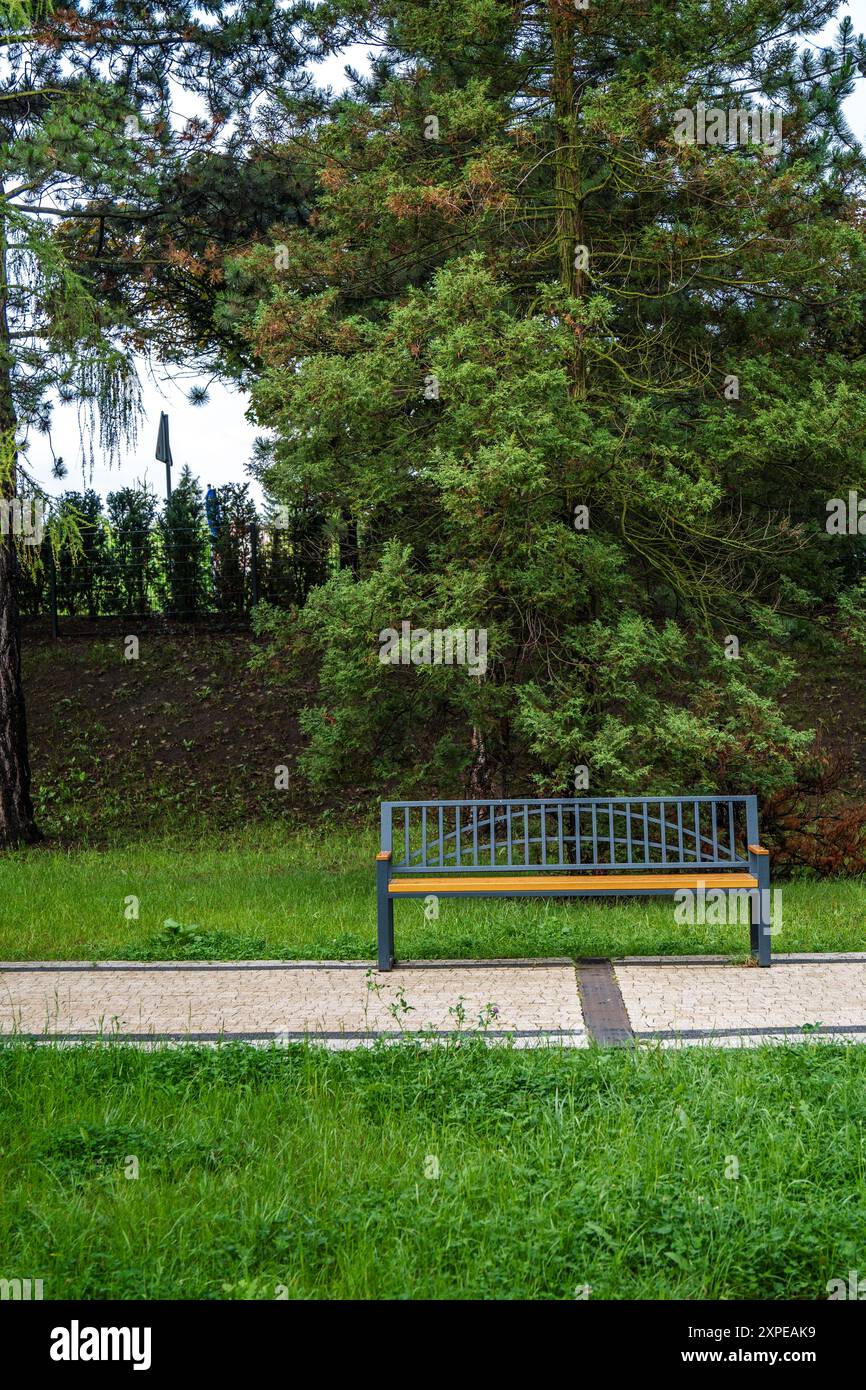 Un banc de parc calme entouré de verdure luxuriante sur Un après-midi calme Banque D'Images