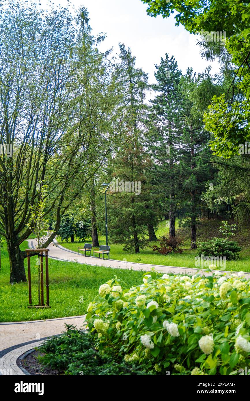 Serene Park Pathway entouré de verdure luxuriante et de fleurs vibrantes par un après-midi ensoleillé Banque D'Images