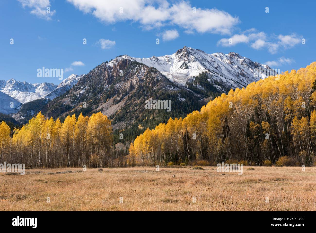 Enneigée de 12 560 mètres, Greg Mace Peak s'élève au-dessus de la prairie colorée au début de l'automne, situé dans la forêt nationale de White River, Colorado. Banque D'Images