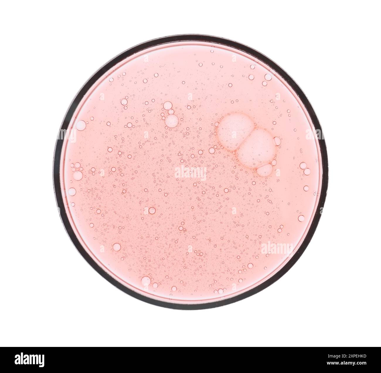 Boîte de Petri avec échantillon isolé sur blanc, vue de dessus Banque D'Images