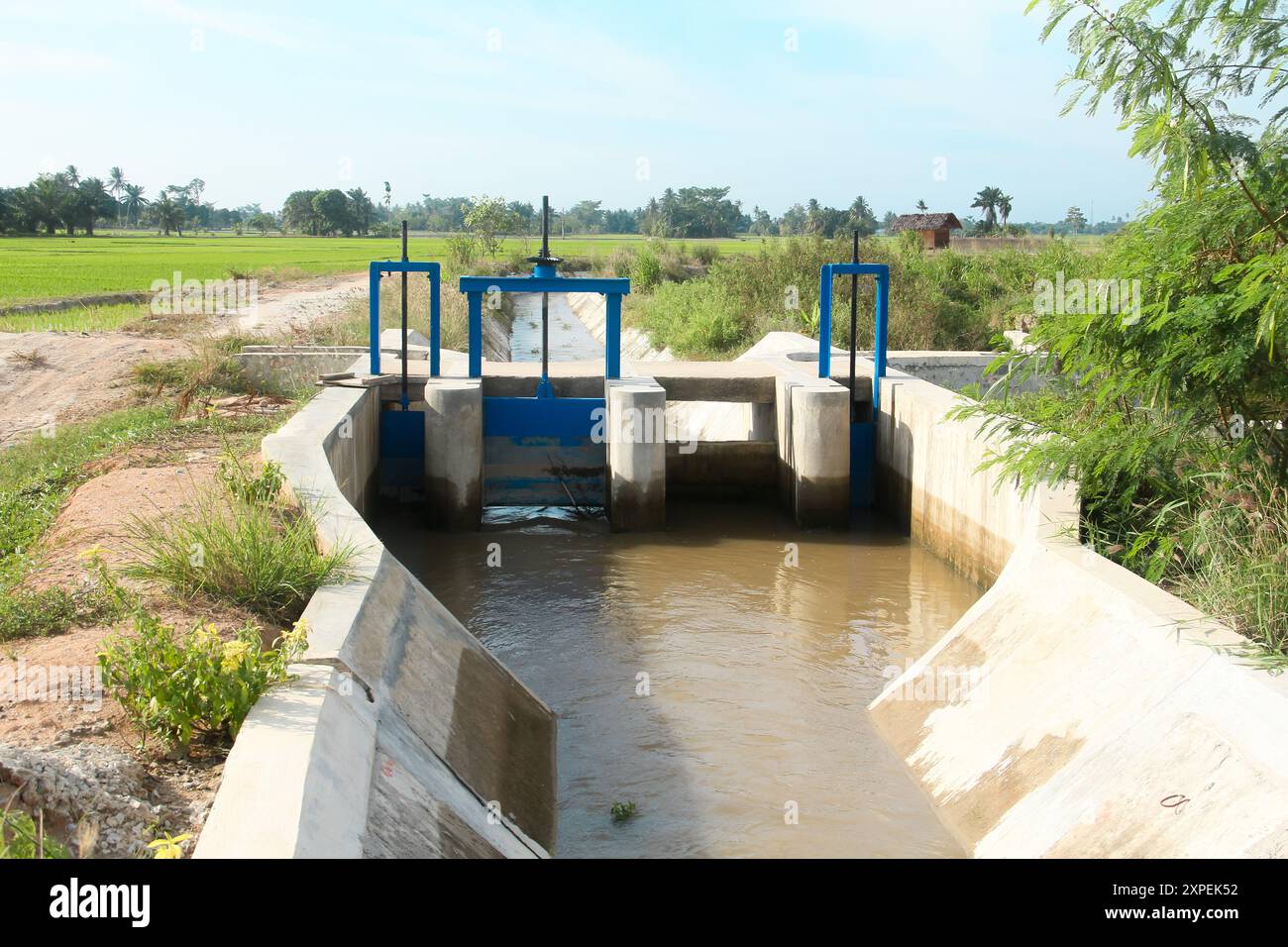 Canaux d'irrigation qui irriguent les rizières dans les zones rurales Banque D'Images