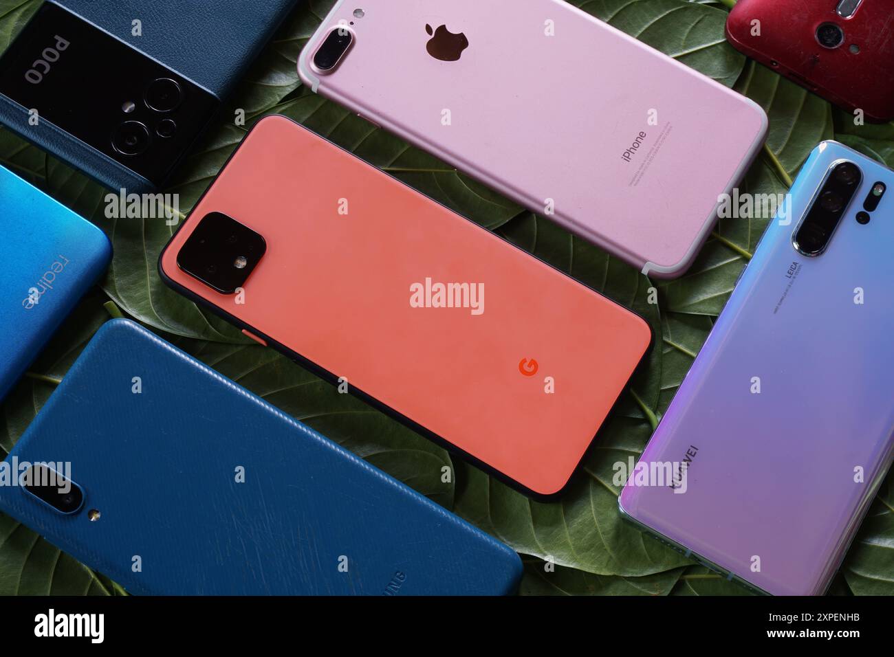 Terengganu, Malaisie - 23 août 2024 : divers téléphones de marque comme pixel, iphone, huawei, poco, samsung et d'autres sur des feuilles vertes éparpillées. Banque D'Images