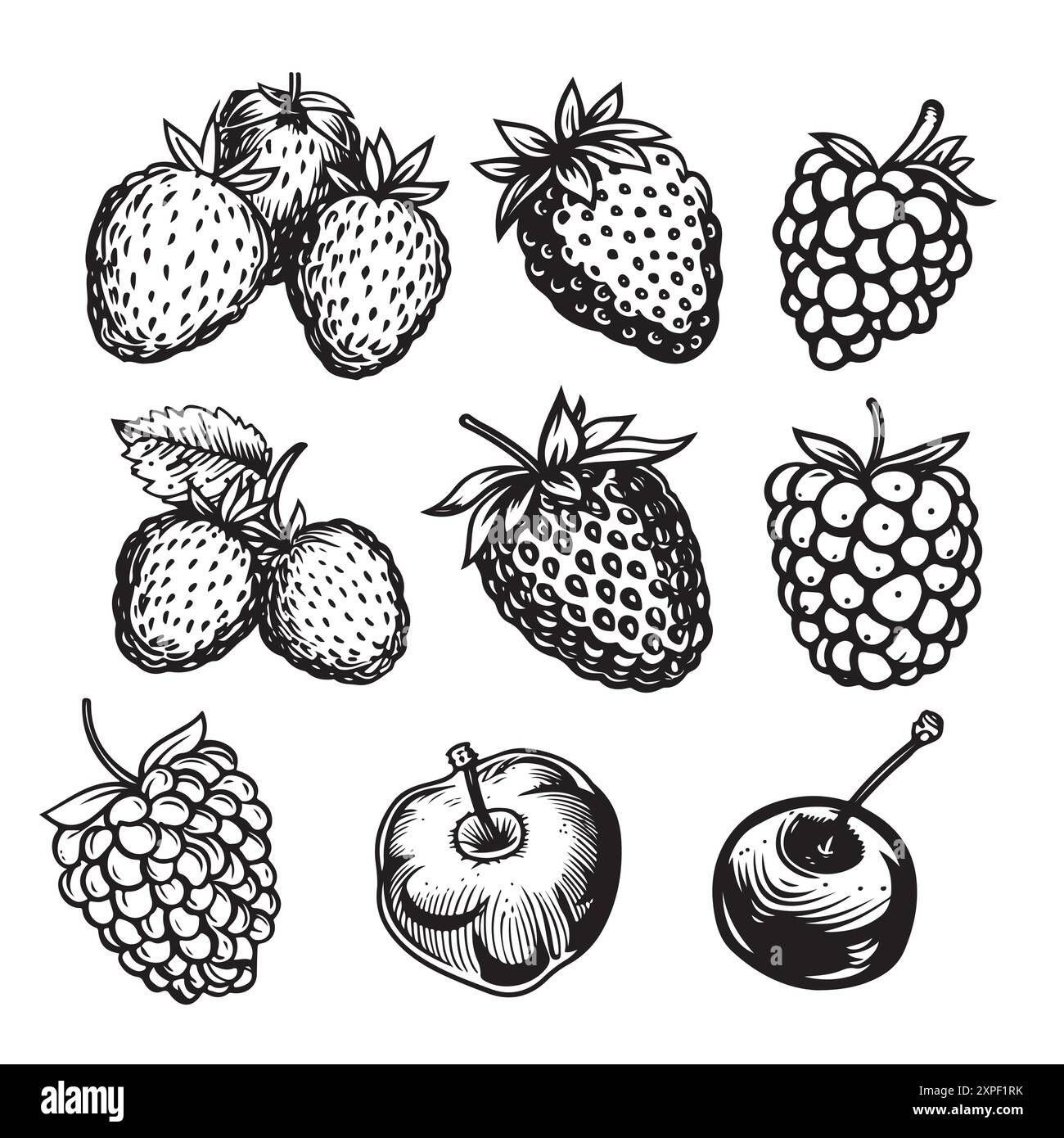 Dessin vectoriel de framboise. Croquis isolé de branche de baies sur fond blanc. Illustration de style gravé fruit d'été. Végétarien détaillé dessiné à la main f Illustration de Vecteur
