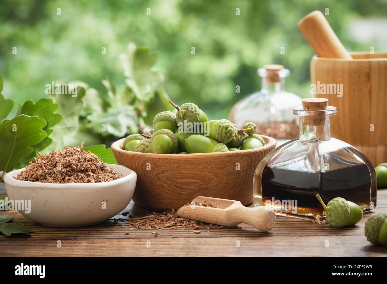 Écorce de chêne saine dans un bol en céramique, une bouteille d'infusion ou de teinture, un bol en bois de glands. Mortier, feuilles de chêne vert sur fond. Autre médicament à base de plantes Banque D'Images