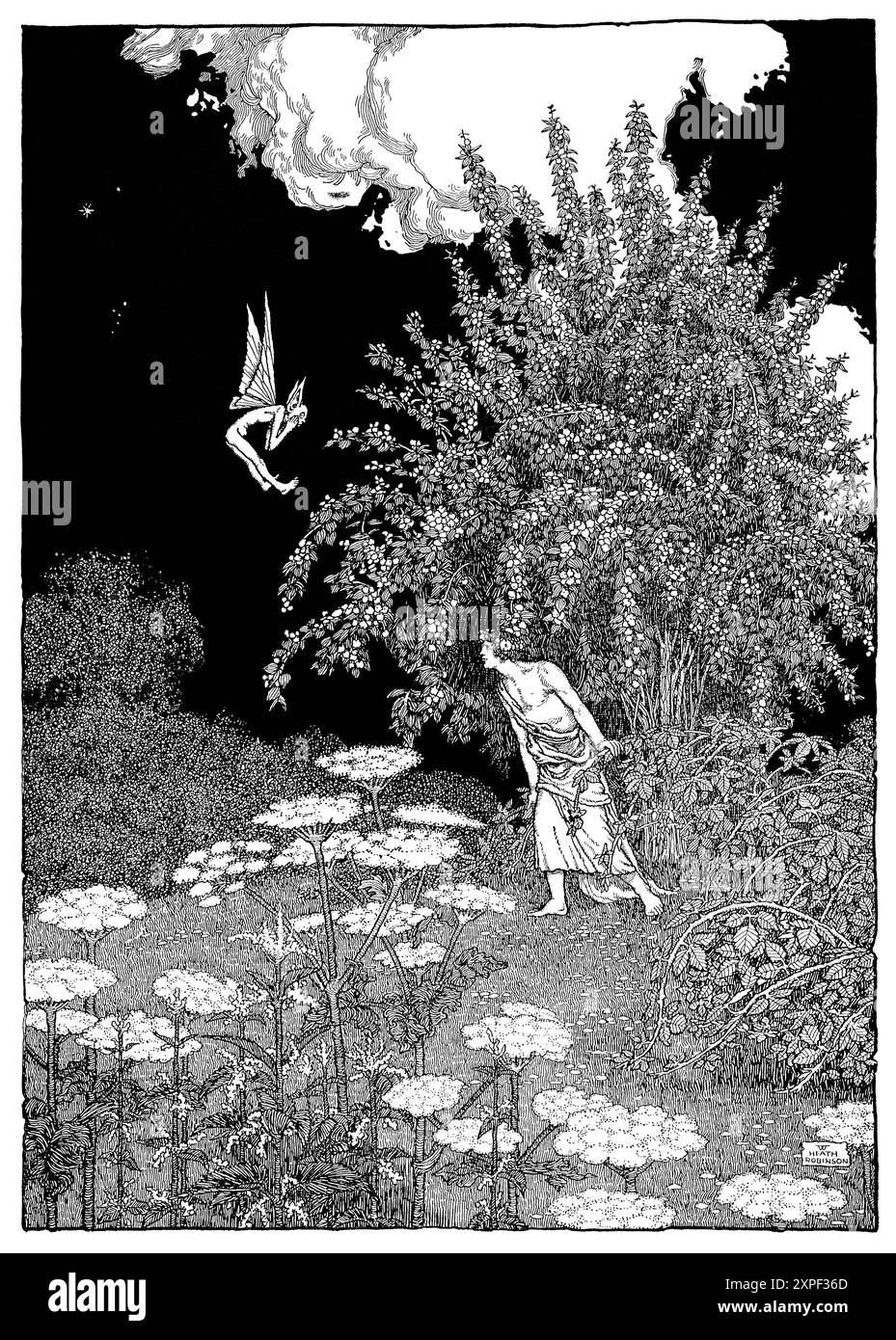 Illustration de W. Heath Robinson tirée du rêve d'Une nuit d'été, 'Demetrius thou Runaway', publiée par Constable & Co en 1914. Banque D'Images