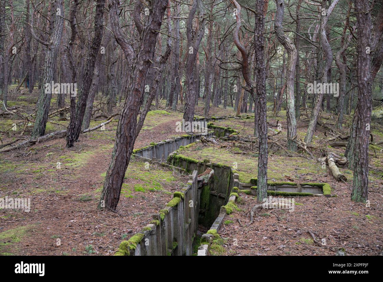 Ligne de fortification défensive de la guerre froide à Hel, Pologne © Wojciech Strozyk / Alamy Stock photo Banque D'Images