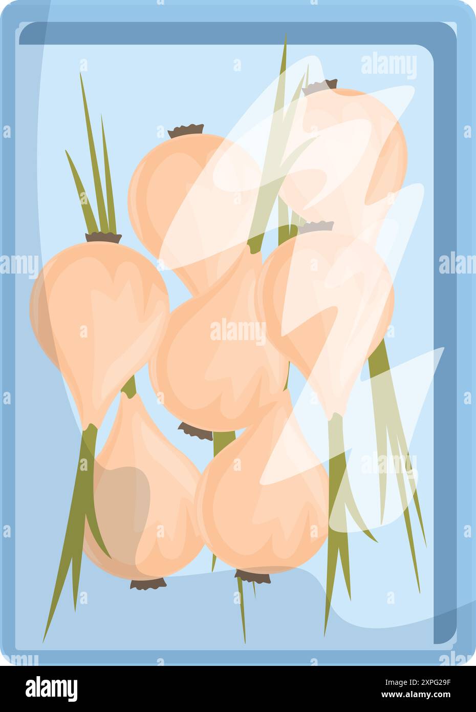 Oignons fraîchement cueillis, emballés ensemble et emballés dans du plastique, prêts à être expédiés aux épiceries et aux marchés Illustration de Vecteur