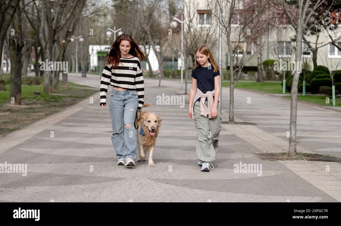 Deux filles marchent avec Un chien Golden Retriever le long d'une allée au printemps Banque D'Images