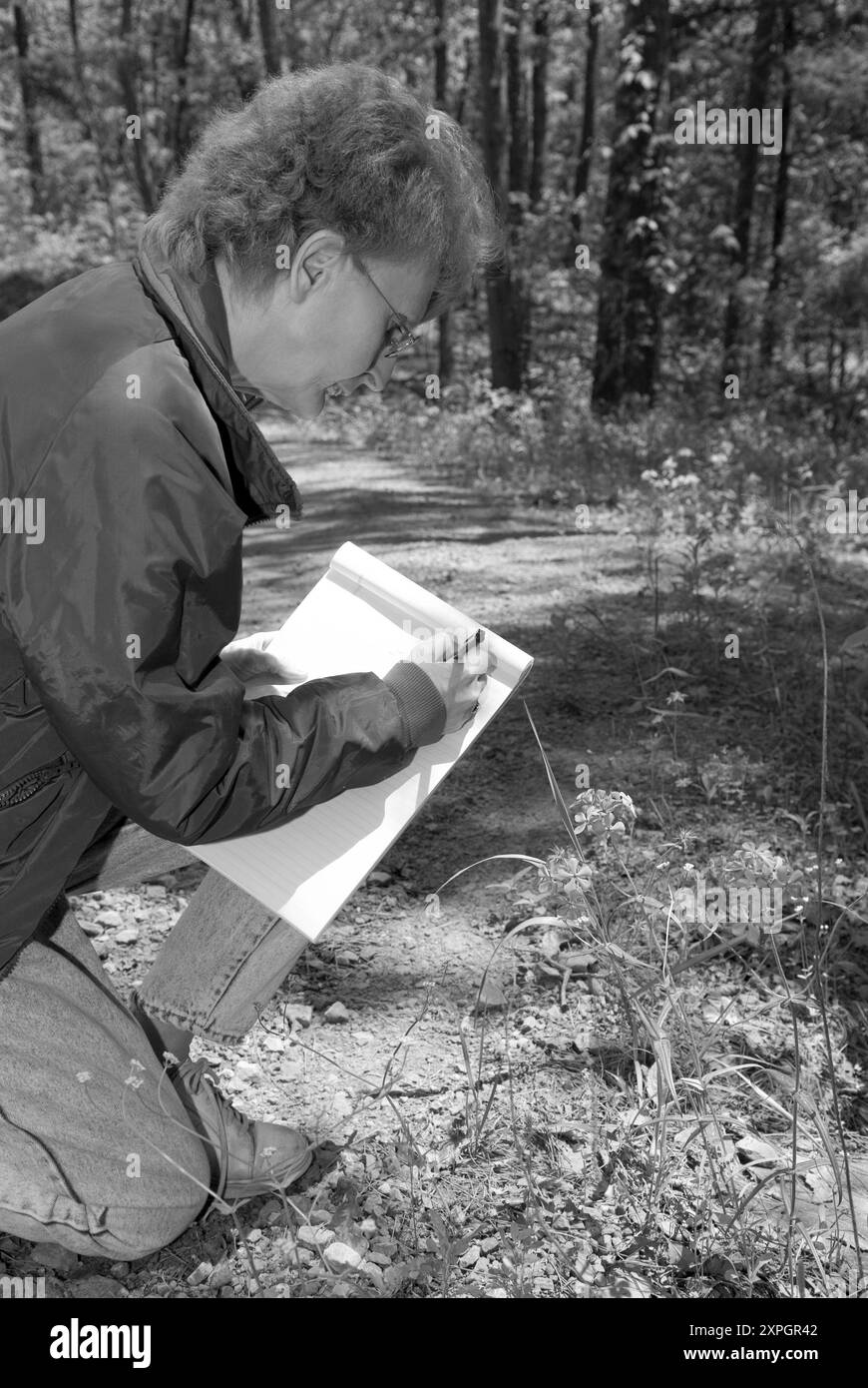 Femme caucasienne de 50 à 55 ans étudie les fleurs violettes sur le sentier au petit Jean State Park près de Morrilton Arkansas, USA. Banque D'Images