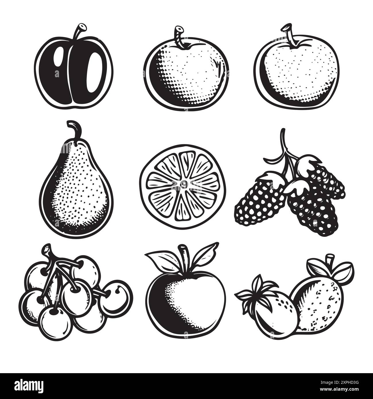 Ensemble d'icônes de fruits et de baies d'esquisse de vecteur. Collection décorative de style rétro produit agricole dessiné à la main pour le menu du restaurant, étiquette du marché. Mangue, bluebe Illustration de Vecteur