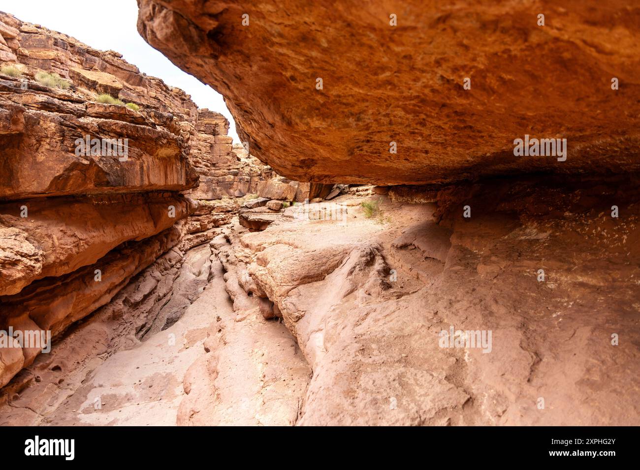 Surplombant et lit de rivière asséché à Cathedral Wash Trail, Glen Canyon, Vermilion Cliffs, Arizona, États-Unis Banque D'Images