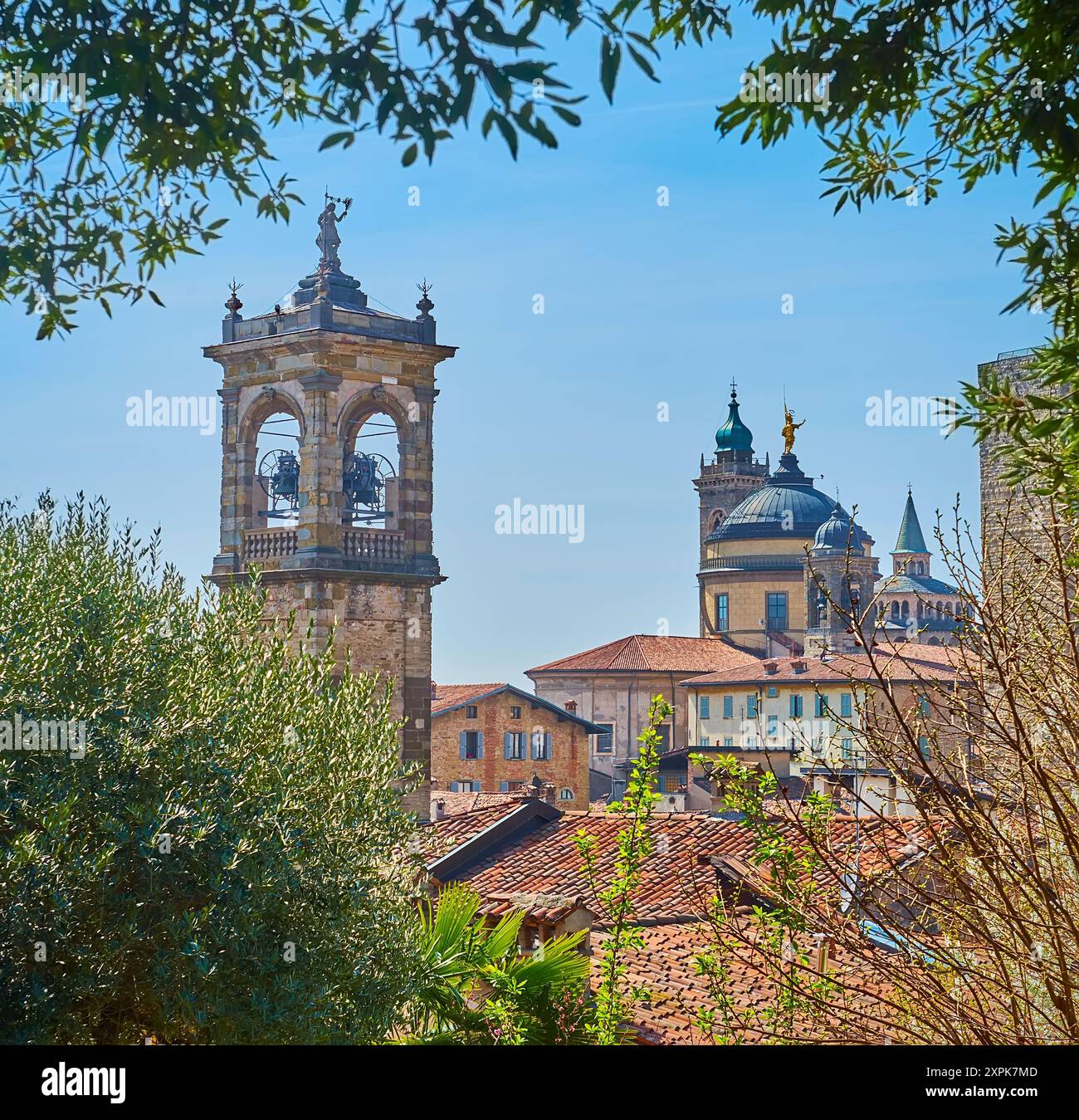 Les fourrés verts du parc de la forteresse Rocca di Bergamo avec des olives étendues, des buissons et une vue sur le beffroi médiéval de l'église San Pancrazio, la cathédrale de Bergame Banque D'Images