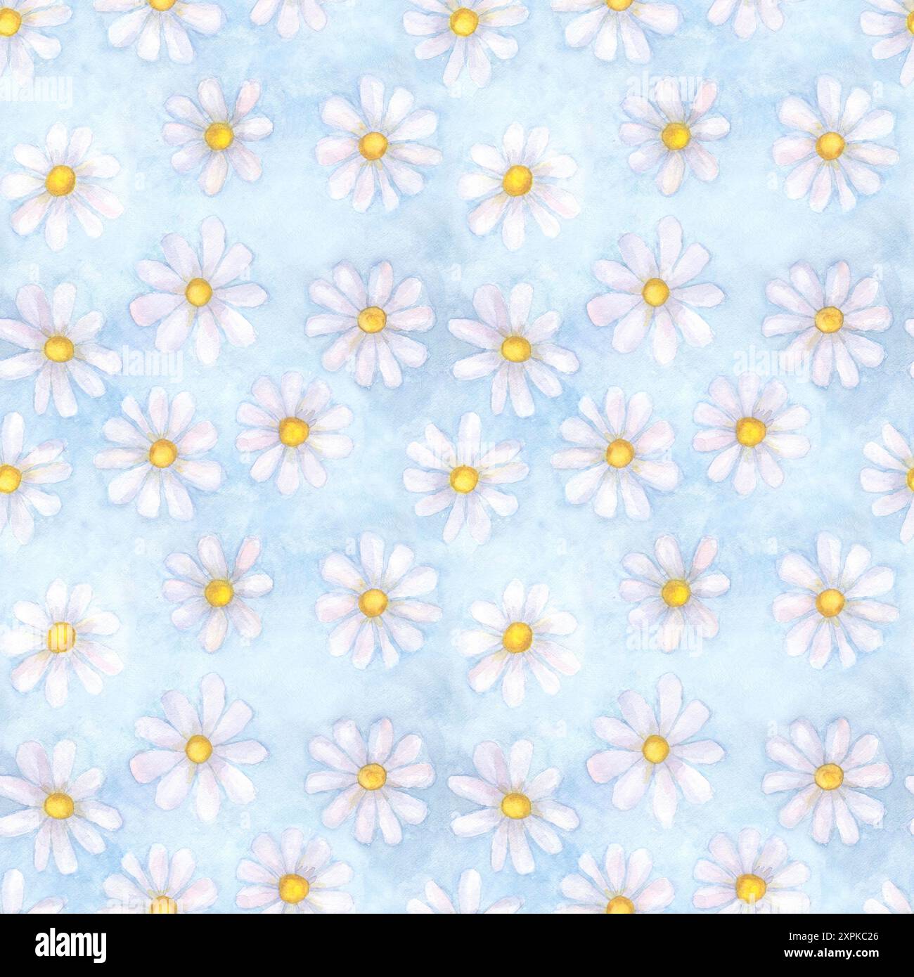 Fleurs de camomille aquarelle. Beau motif floral sans couture. Aquarelle dessinée à la main printemps été illustration botanique sur fond bleu. Imprimer Banque D'Images