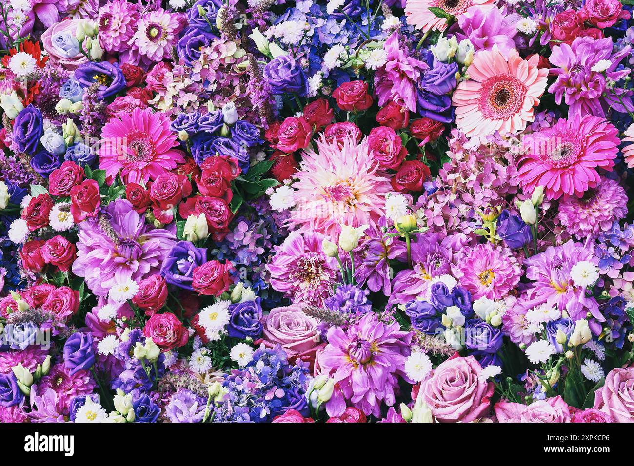 Arrangement floral vibrant de roses et d'hortensias. Fête des mères, Saint Valentin, concept de célébration d'anniversaire. Vue de dessus Banque D'Images
